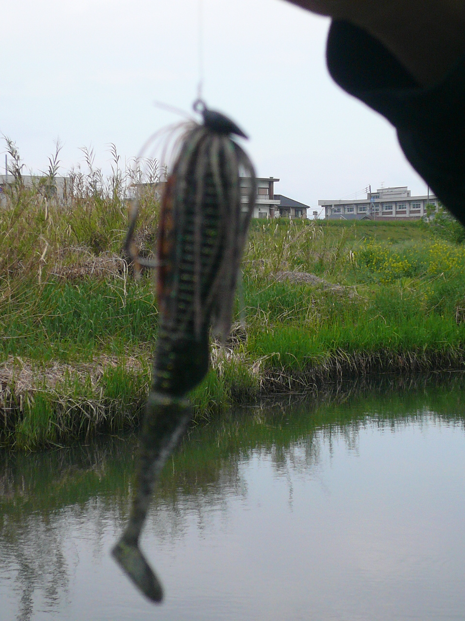 本当に知りたかったバス釣り バス釣り藻川